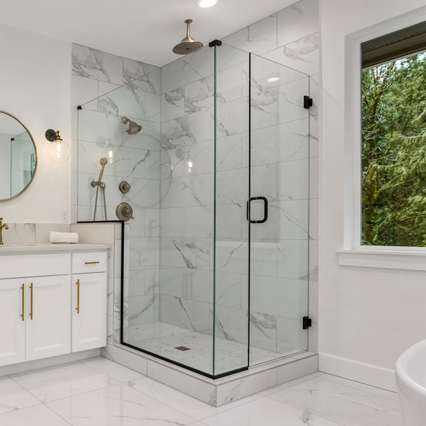 frameless shower door